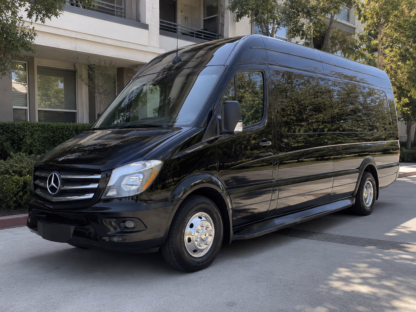 blaine sprinter van with driver